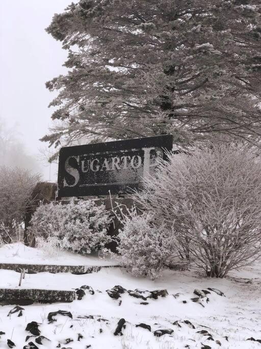 Altitude Adjustment Atop Sugar Mountain At Sugar Top Exterior photo